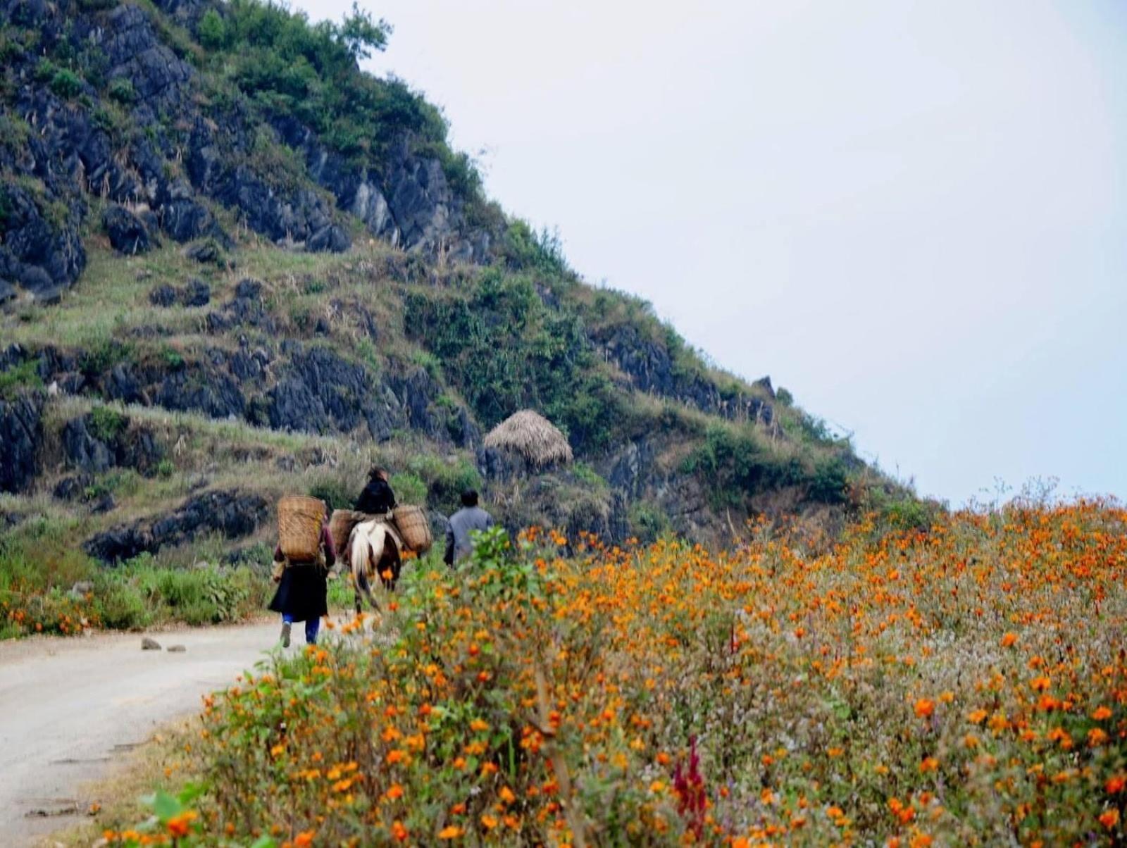 Hang Thuong Hostel - Motorbikes And Tour Ha Giang Esterno foto
